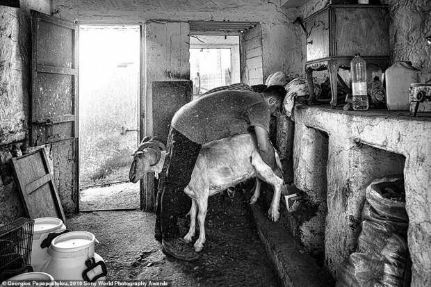 Завораживающие снимки финалистов конкурса Sony World Photography Awards 2019 Завораживающие снимки финалистов конкурса Sony World Photography Awards 2019