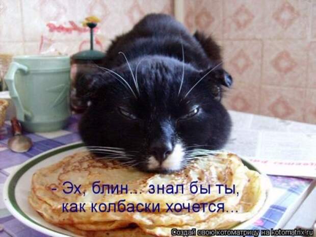 Лучшие котоматрицы недели, 35 шт.