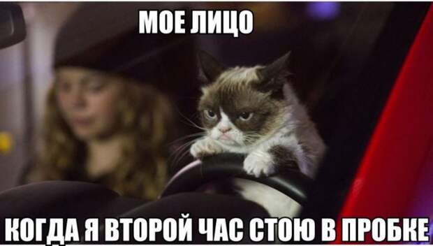 Подборка автоприколов