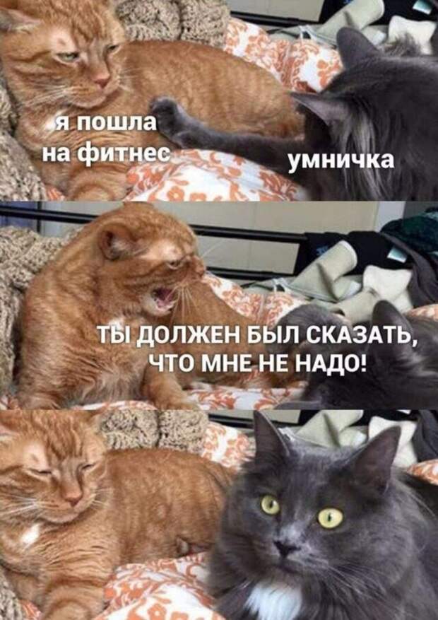 www.vsyako.net