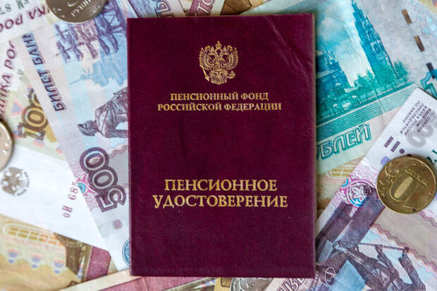 Жителем России показали способ самостоятельного расчета будущей пенсии
