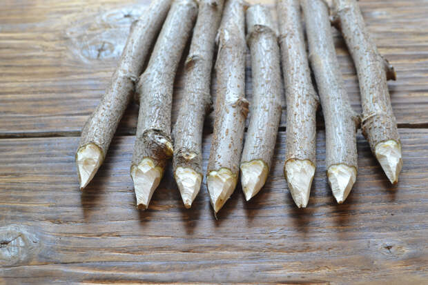 Россияне закупились оружием против вампиров