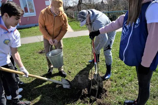 В Рассказовском районе высадили сиреневую аллею