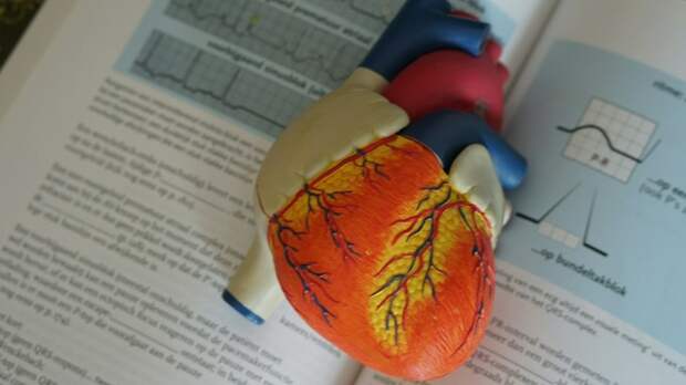 Врач назвал привычку, которую ненавидит сердце