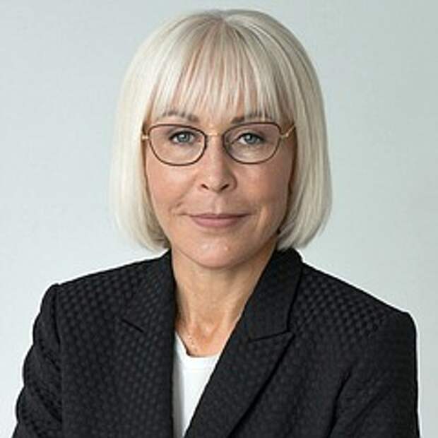 Депутат Школкина предложила ввести единый размер ручной клади в самолете