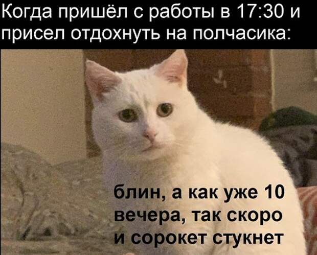 Сомалиец, но не пират...