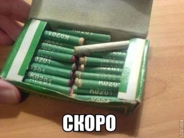 Самые прикольные картинки