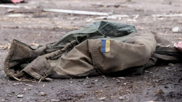 «Ищут козла отпущения»: почему в НАТО заговорили о провале на Украине