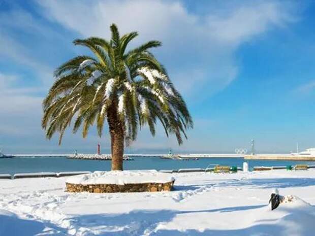 Чем заняться в Сочи зимой.