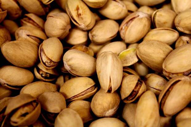 Как правильно прорастить фисташки в домашних условиях: пошаговая инструкция