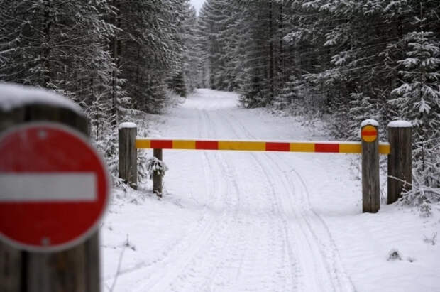 Туристы из Германии незаконно пересекли границу РФ и Финляндии