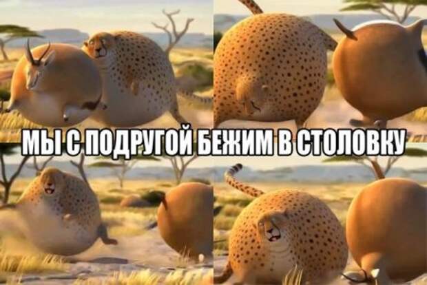 Для хорошего вторника приколы