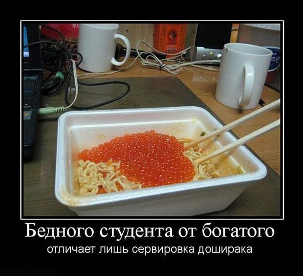 Приколы про студентов: ах, эти золотые годы!