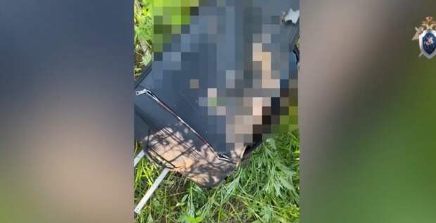 Дети нашли чемодан с криминальным трупом в Приморском крае