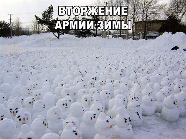 eqdtrY1cDZI