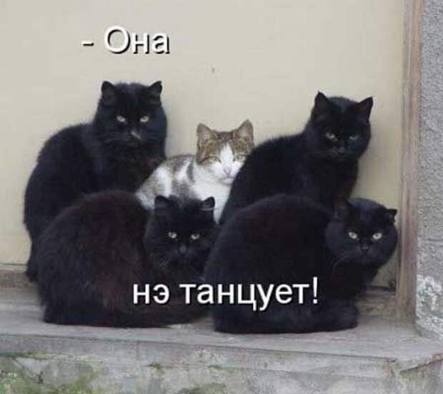Прежде чем женится, попробуйте вдвоем с невестой поклеить в комнате обои Прежде чем женится, попробуйте вдвоем с невестой поклеить в комнате обои