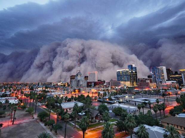 Лучшие фотографии от National Geographic за 2012 год national geographic, дикая природа, животные, лучшие фотографии, природа