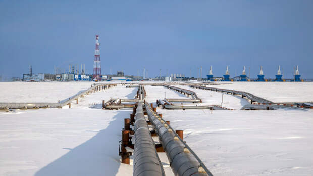 Газопровод "Сила Сибири" достигнет проектной мощности до конца года, заявил посол Китая