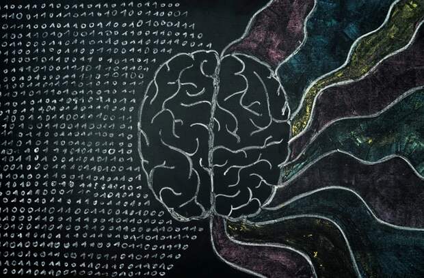 10 фактов о разуме, доказывающих, что у мозга для нас еще много сюрпризов
