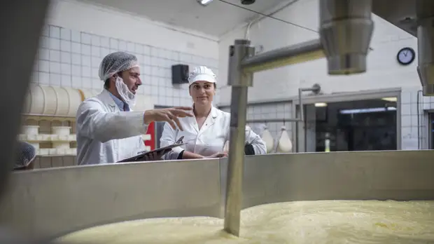 В Подмосковье строительство сырного завода планируют завершить в 2022 году