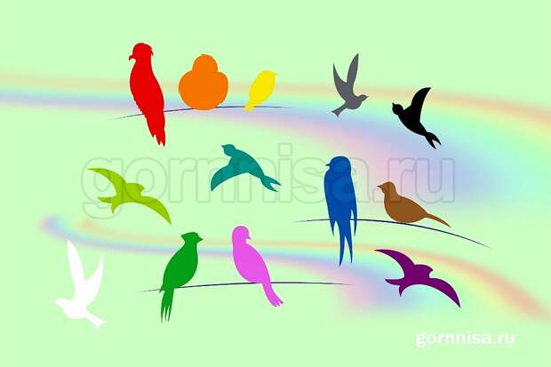 Быстрый тест – Когда сбудется желание заветное – выберите птицу