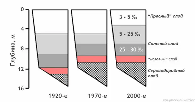 В разное время проводились исследования озера Могильное. На схематичном рисунке представлен разрез водоема с данными по глубине и солености в разные периоды. Заметна тенденция к засолению озера. Рисунок автора на основе измерений из доклада "Морское озеро Могильное: сто лет одиночества" (2014) 
