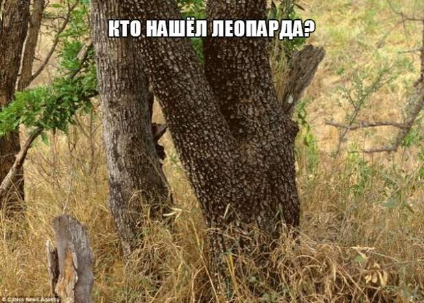 63GjdAjOfzk
