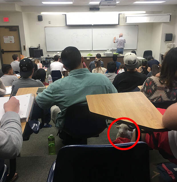 funny-when-you-see-it-pictures-161