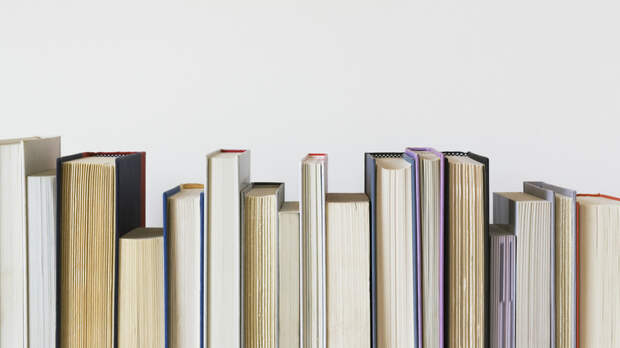 Нардеп Бужанский: на Украине умирает книжный бизнес из-за ограничений русского