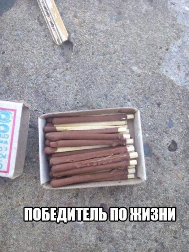 Смешные картинки с надписями прикол, юмор
