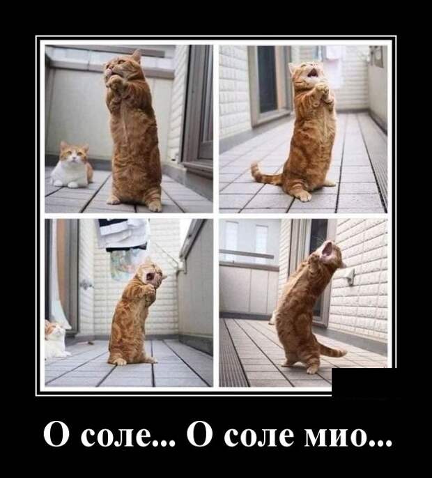 Демотиваторы (30 фото)