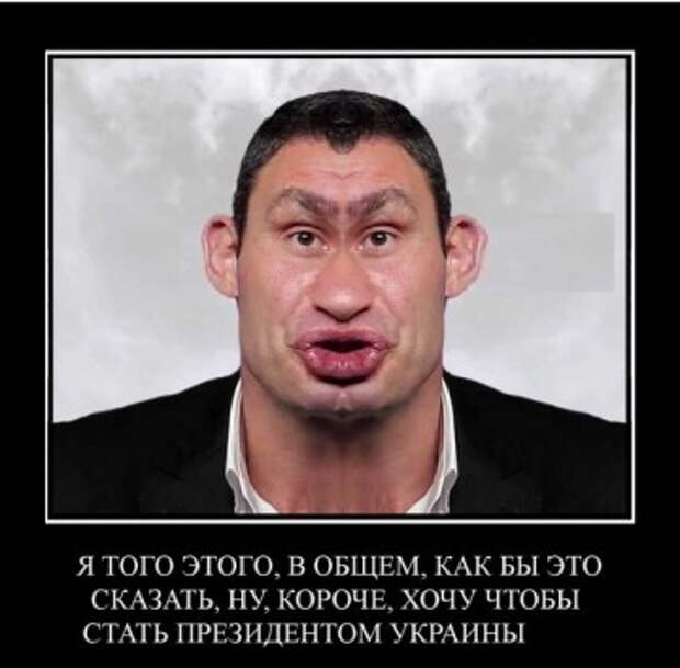 Если бы не Порошенко, Кличко подготовил бы к земле всю Украину