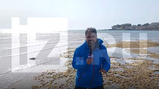 «Известия» первыми среди мировых СМИ побывали на острове Харк после начала конфликта