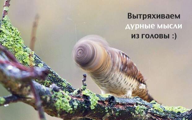 30 открыток с интересными мыслями (29 фото)