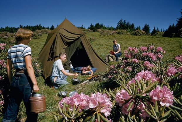 A family sets up camp alongside rhododendron plants on Roan Mountain, Tennessee. This photo appeared in a June 1957 story dedicated to the Roan Mountain rhododendrons, flowers famous enough to earn their own annual festival.