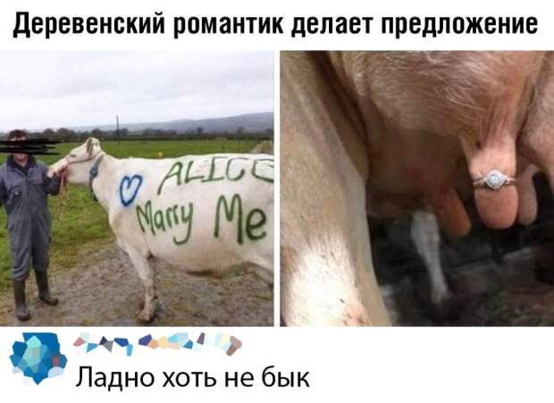 www.vsyako.net