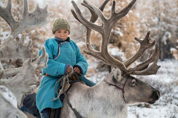 Один день из жизни монгольской семьи оленеводов люди, оленевод, семья