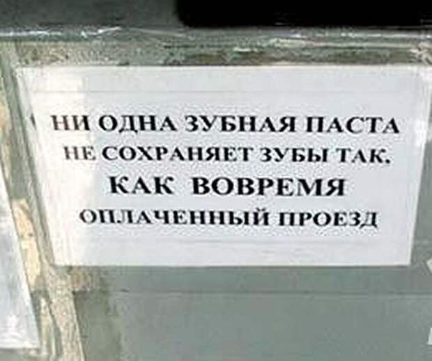 Веселые “маршрутки”
