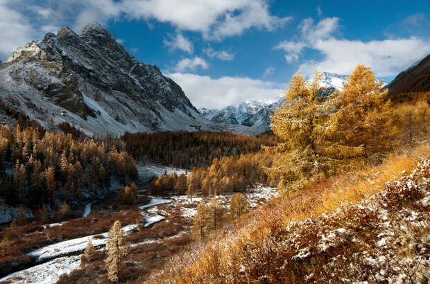 Фото: Denis Cherkashin