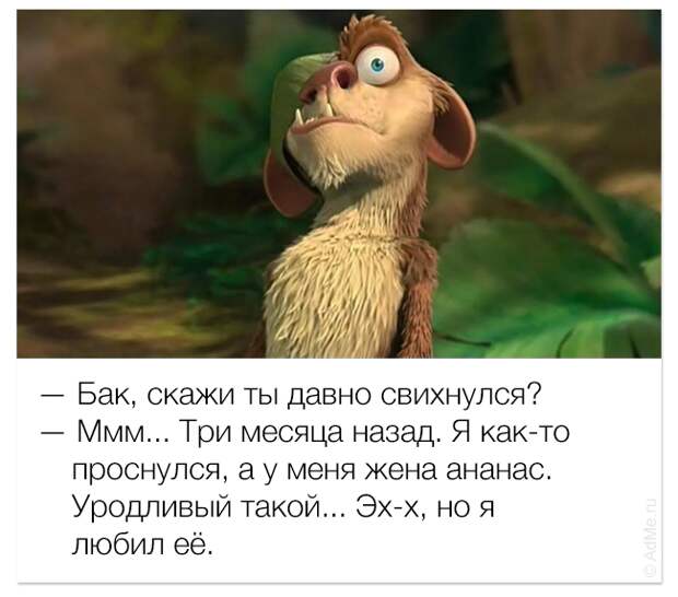 смешные цитаты из мультфильмов, фразы мультфильмы