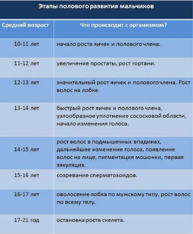 polovoye_razvitiye_boys