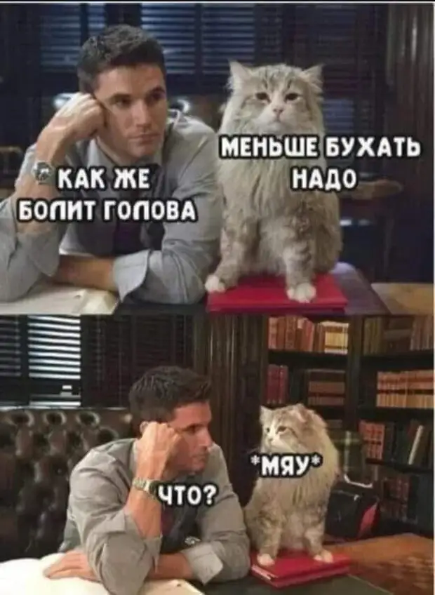 Если тебе на ухо наступил медведь и в школе была двойка по русскому языку, значит тебе выпал шикарный шанс стать звездой рэпа