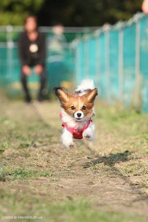 прикольные фотографии