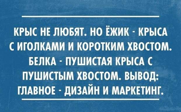 Свежие и веселые картинки с надписями со смыслом (11 фото) Свежие и веселые картинки с надписями со смыслом (11 фото)
