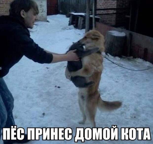 Лучшие приколы дня