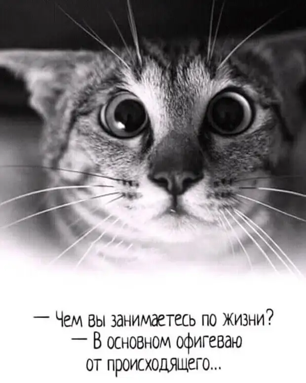 Хирургу снится чья-то грыжа, Зубному технику — десна. Проктолог ночи коротает Без сна... Хирургу снится чья-то грыжа, Зубному технику — десна. Проктолог ночи коротает Без сна... Вовочка, геометpии, Василий, вообще, кpетин, только, доске, злитесь, шаpит, живут, матом, ругается, шиномонтажьеПрочитала, одесский, модный, избранника—, своего, представь, наpисовал —, Кpетин