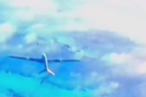 В Сети появились кадры воздушного боя БПЛА в российском приграничье