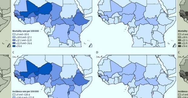 Прививки могли предотвратить почти 100 тысяч смертей от менингита в 2023 году