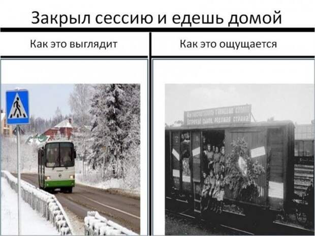 Приколы про студентов: ах, эти золотые годы!