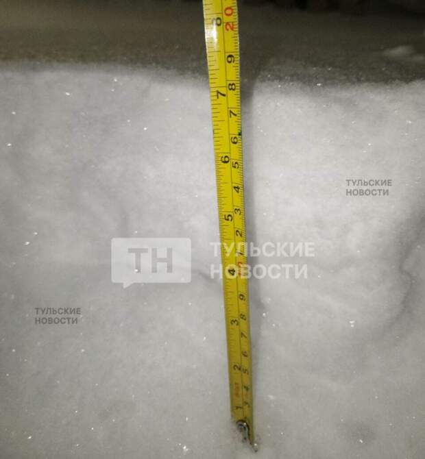 Туляки показали сугробы высотой около 18 сантиметров